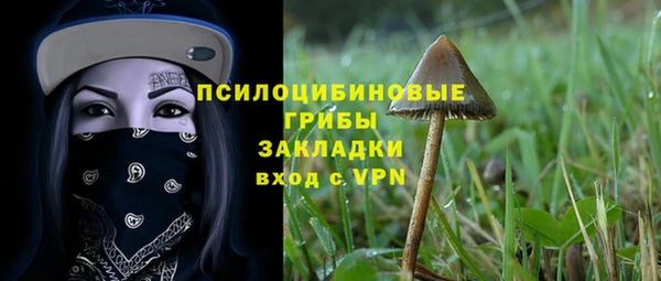 таблы Алзамай
