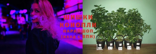 apvp Алексеевка