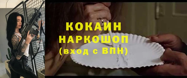a pvp Пересвет